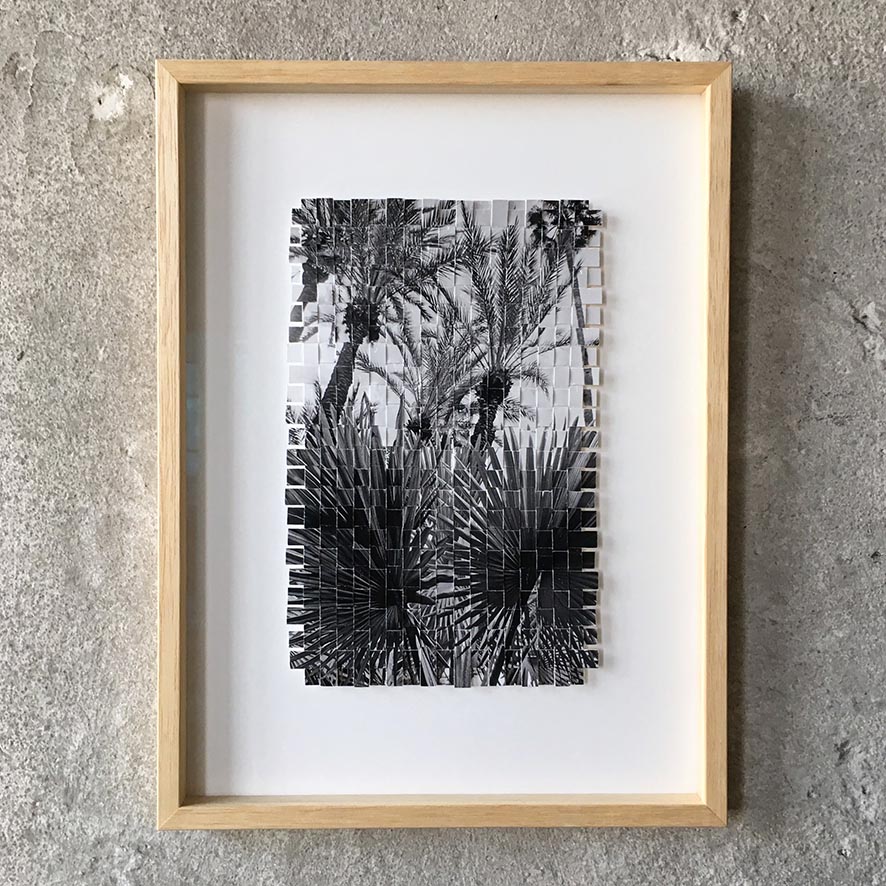cfaiola_weaving_palmtree_web