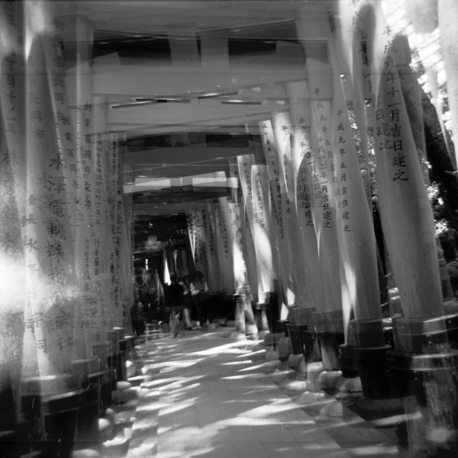 cfaiola_kyoto